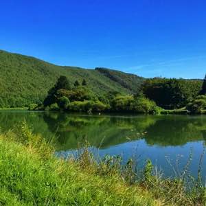 1/3 #ardennes #panorama #nature